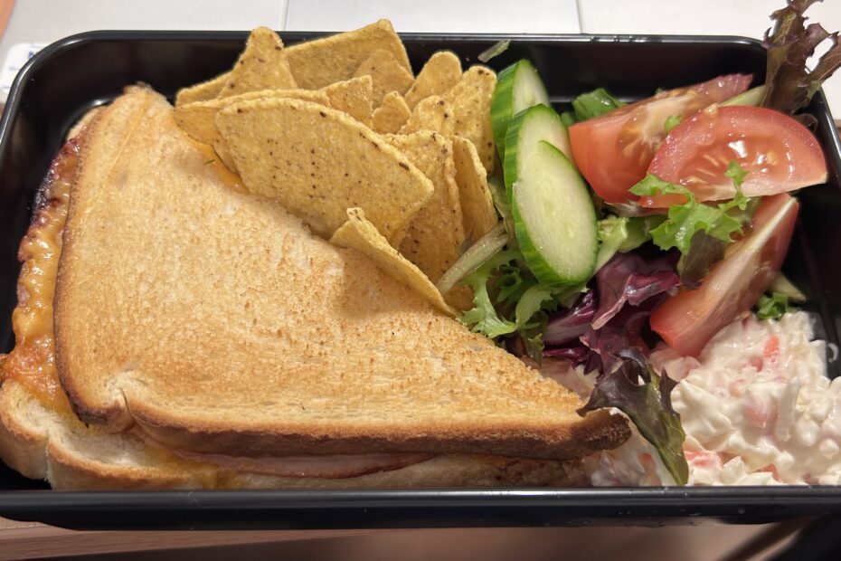 Reusable food container filled with toastie and salad.